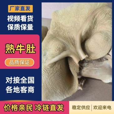 国产牛肚接定制5成7成熟纯干清水煮清水退牛肠