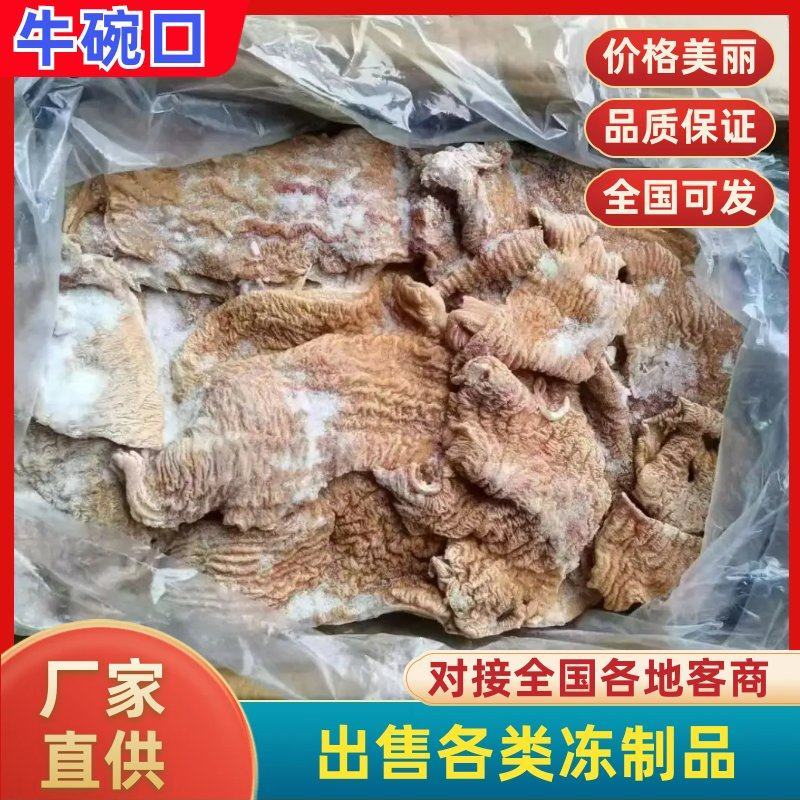 牛碗口纯清水煮牛大肠头牛小肠圆肠破肠牛肚牛伞带