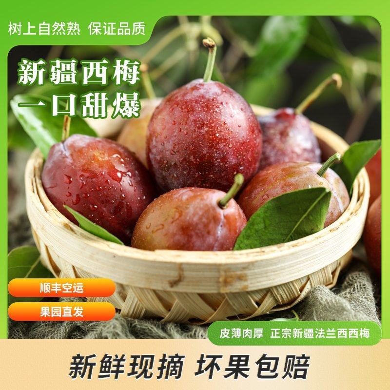 新疆喀什西梅，支持一件代发，整车配货，代办业务，电话联系