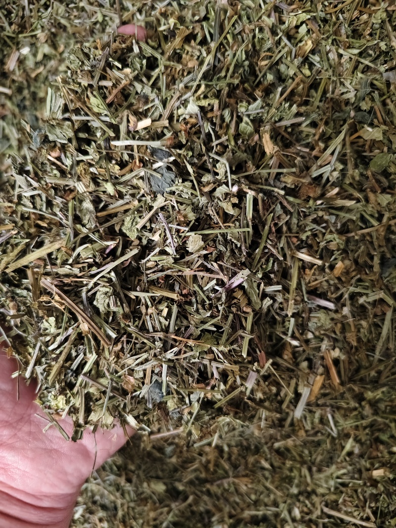 半枝莲新货半枝莲批发零售量大从优