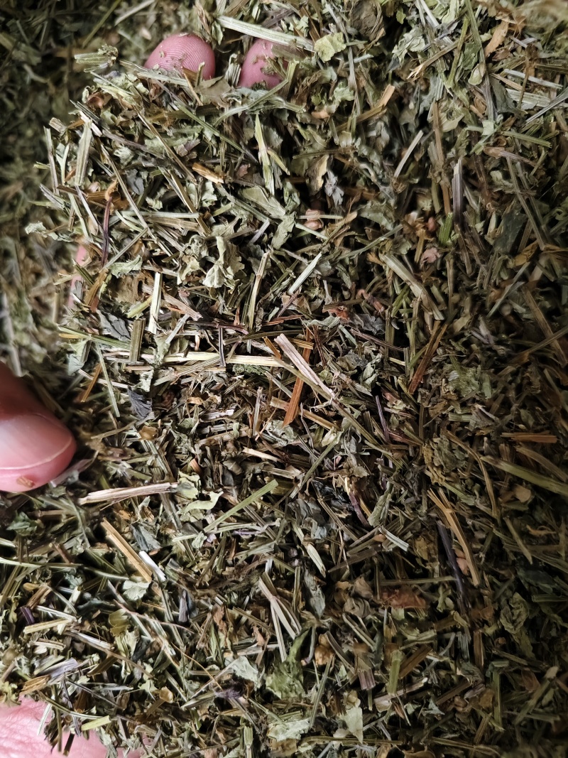 半枝莲新货半枝莲批发零售量大从优