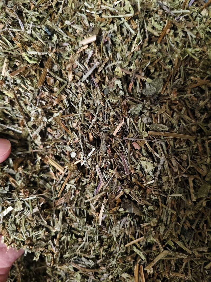 半枝莲新货半枝莲批发零售量大从优