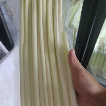大量供应蒲菜