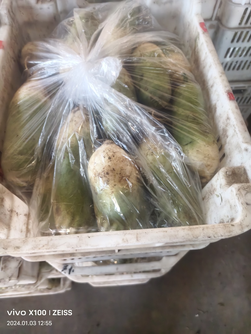 晋中青萝卜大量上市不糠心表皮干净无机械伤无断头疤少大小都有