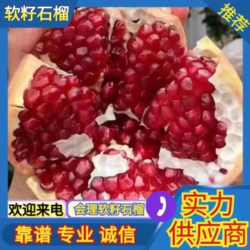 四川突尼斯软籽石榴大量接单产地直发量大从优欢迎来电