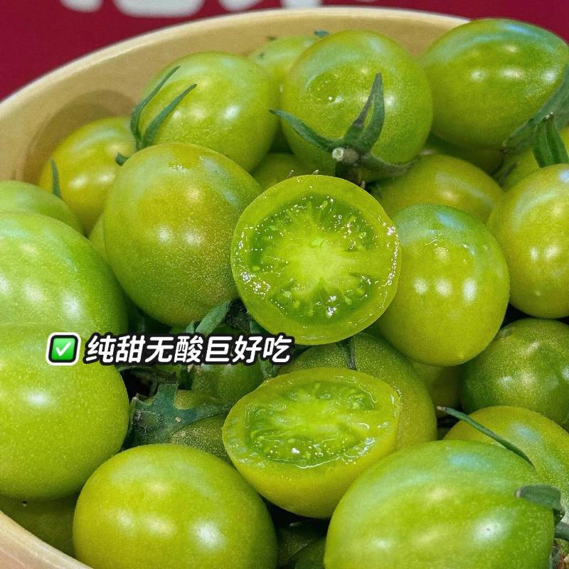 青甜2号小番茄诚信经营提供场地支持一件代发