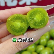 青口蜜小番茄产地直发青甜2号对接超市电商市场社区团购