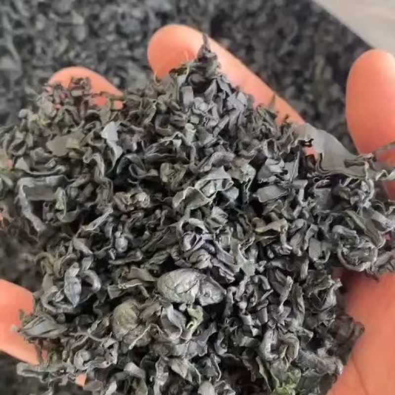 一级裙带菜，干度好，颜色翠绿漂亮，干净无杂质