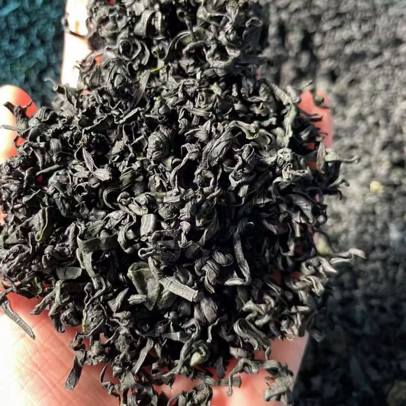 一级裙带菜，干度好，颜色翠绿漂亮，干净无杂质
