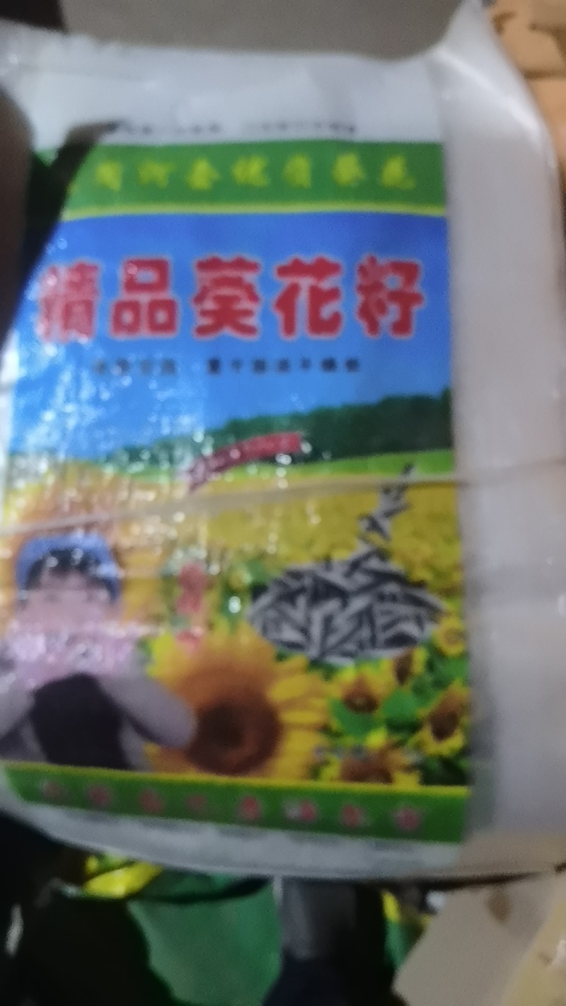 同庆66葵花籽新鲜上市价格美丽走货全国