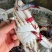 精品大公，中公蟹，精品花脐蟹，大母小母