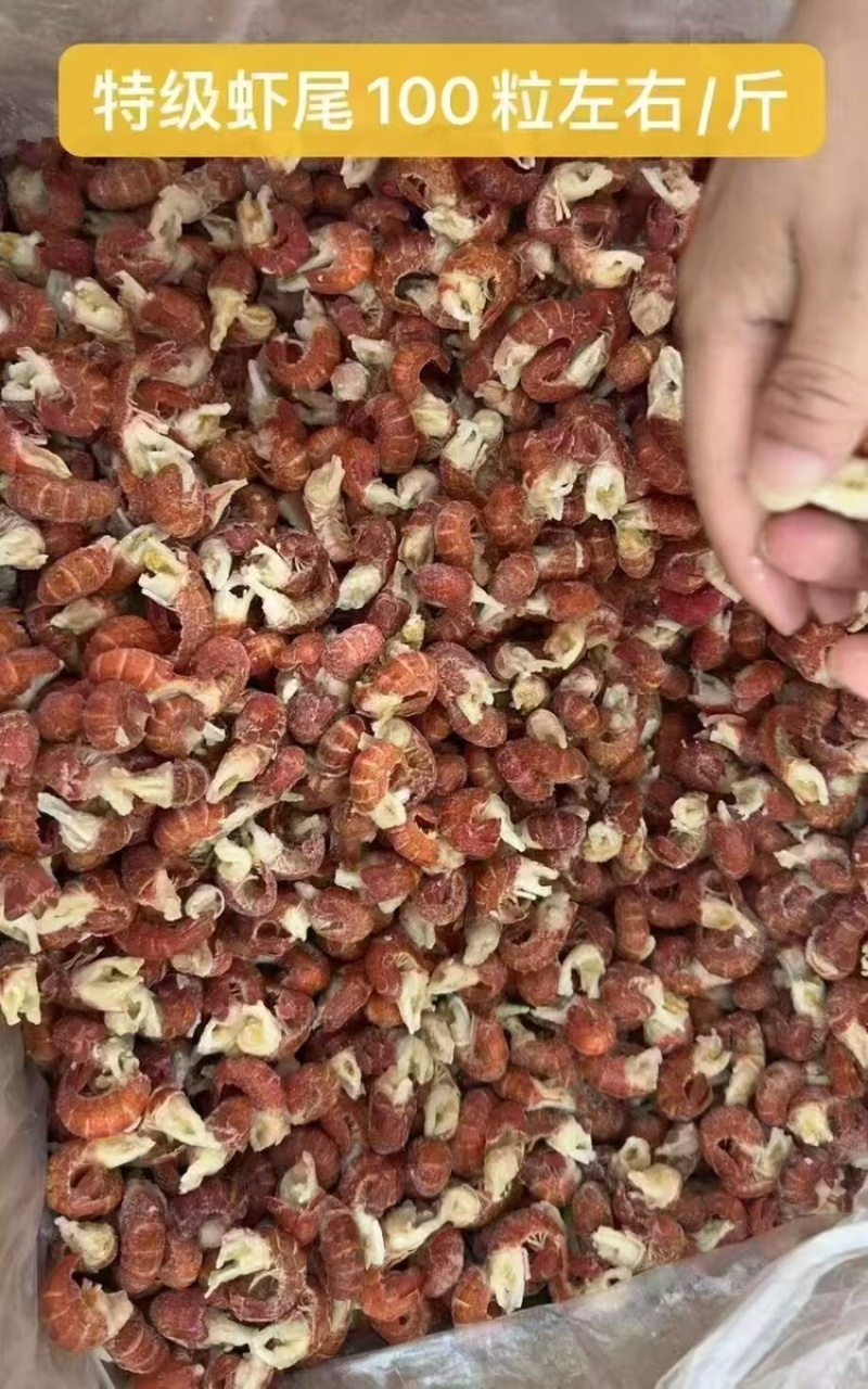 新鲜冷冻龙虾尾，79元100粒，保质保量欢迎咨询