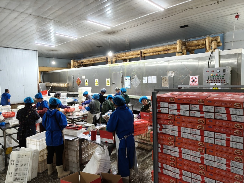 8斤原汁扇贝肉，高品质，大小均匀，不跳号，品牌保障