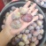 伽师西梅
