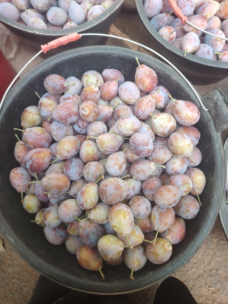 伽师西梅