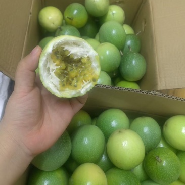 黄金百香果