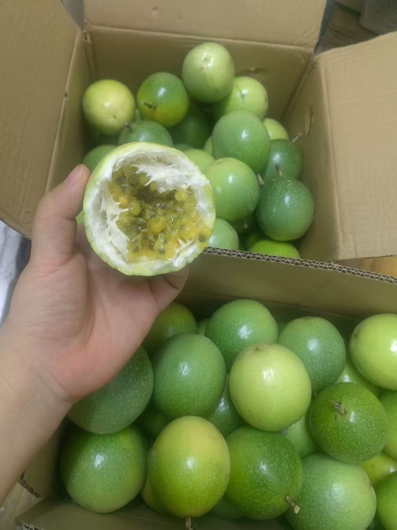 黄金百香果