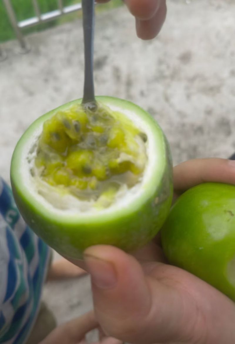 黄金百香果