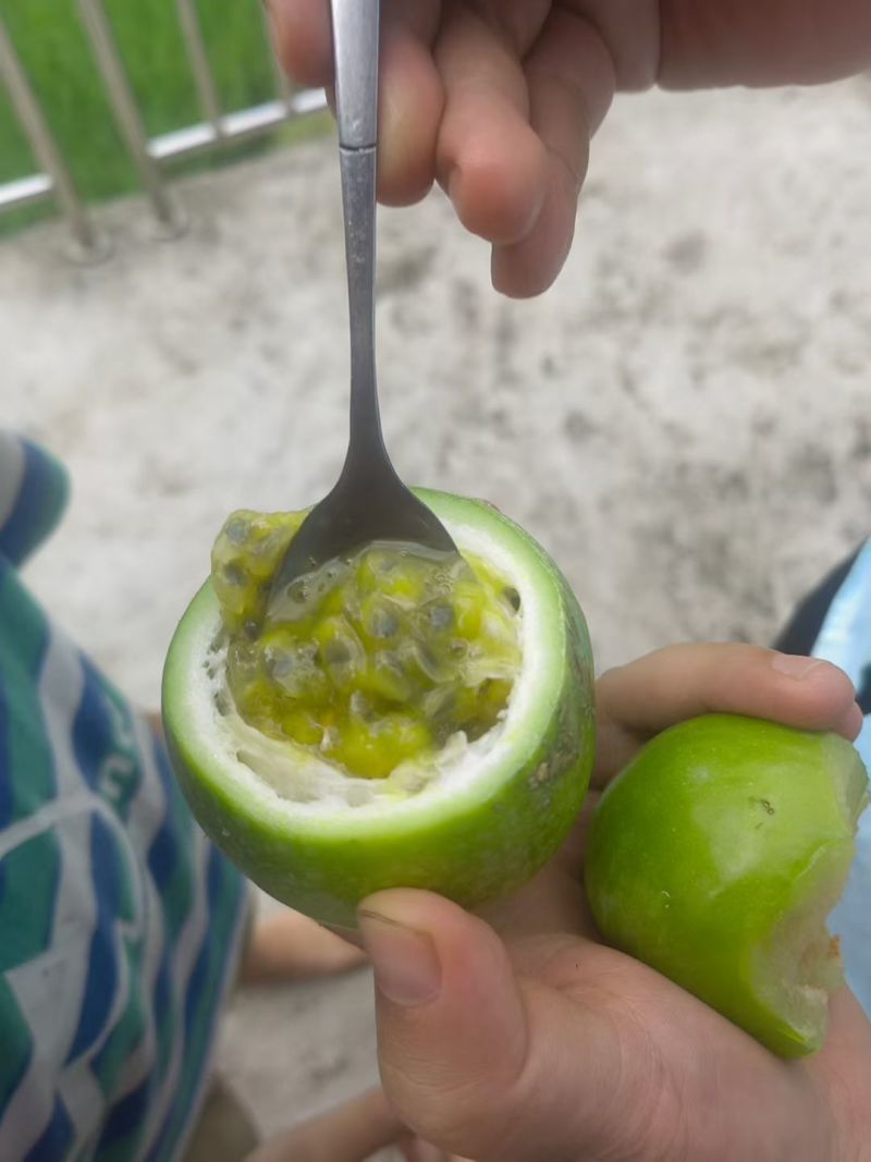 黄金百香果