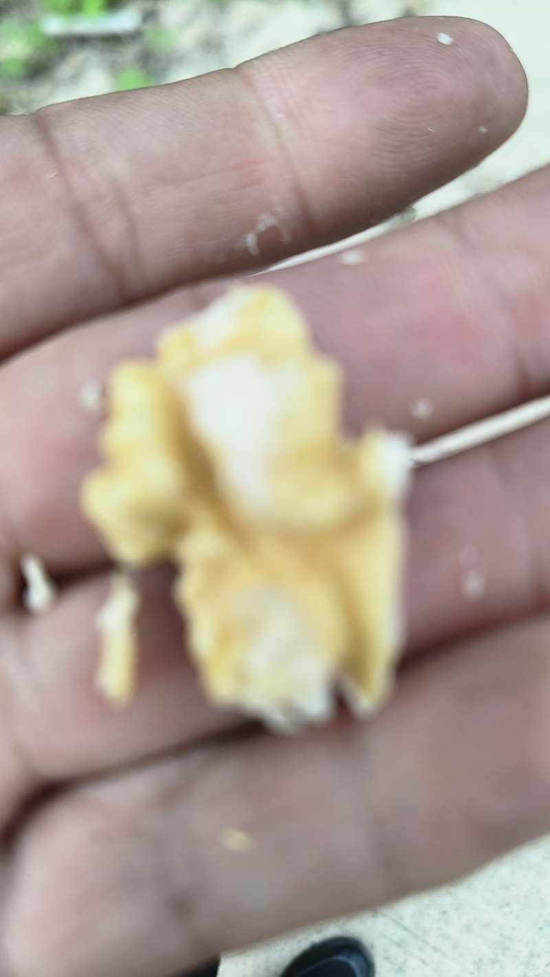 清香核桃大量上市，有需要与我联系