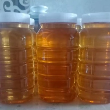 荆轲蜜