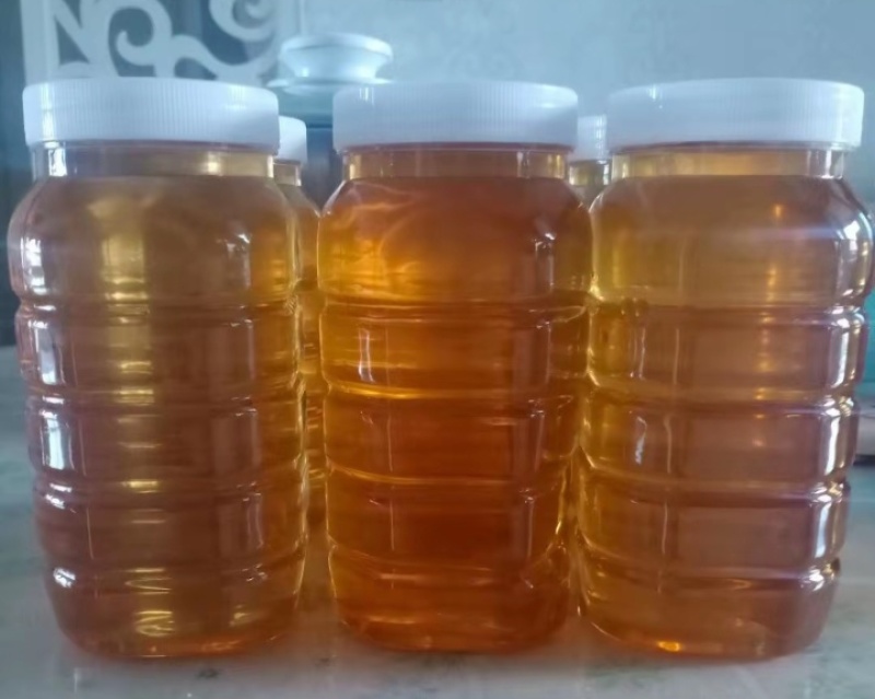 荆轲蜜招代理