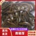 【推荐】黄鳝苗货源充足量大从优诚信经营实惠