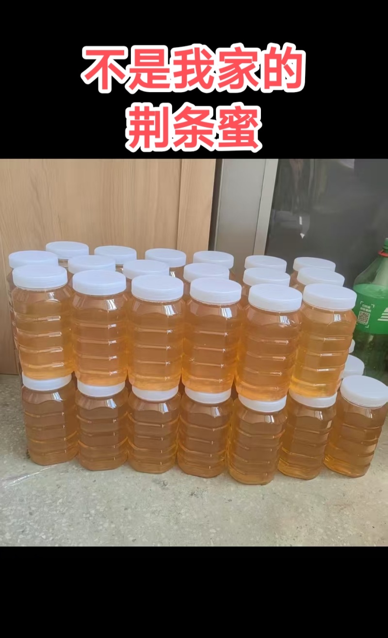 南方农家自养自销冬蜜春夏蜜，荔枝蜜，龙眼蜜，波美度42度