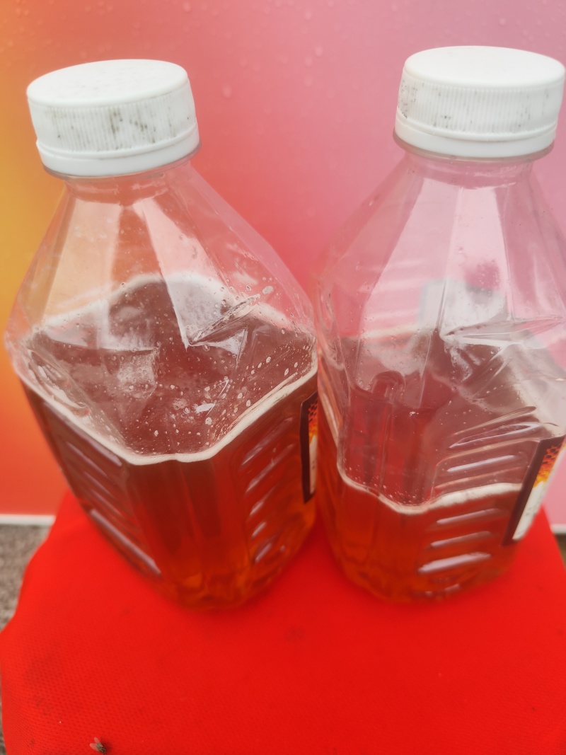 南方农家自养自销冬蜜春夏蜜，荔枝蜜，龙眼蜜，波美度42度