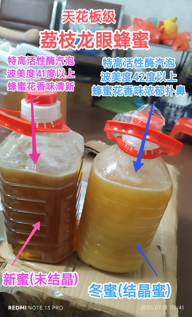 南方农家自养自销冬蜜春夏蜜，荔枝蜜，龙眼蜜，波美度42度