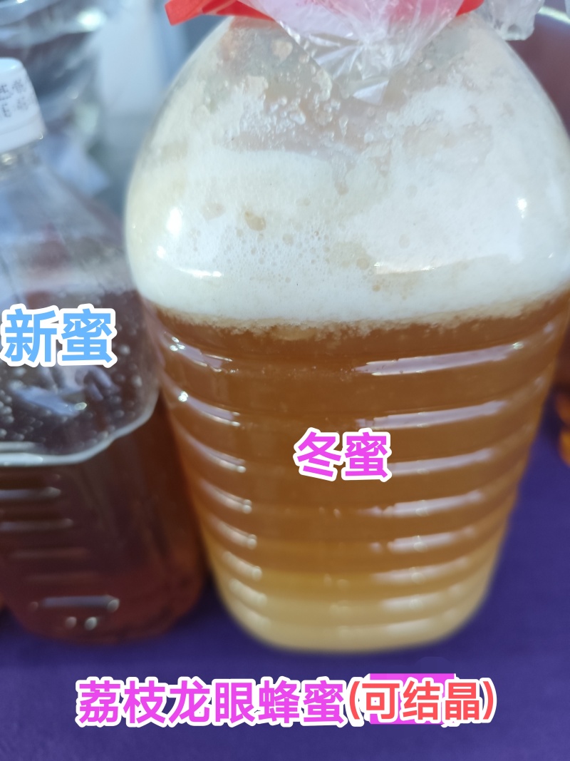 南方农家自养自销冬蜜春夏蜜，荔枝蜜，龙眼蜜，波美度42度