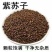 精品苏子，产家直销，产地货源欢迎各地老板来电洽谈