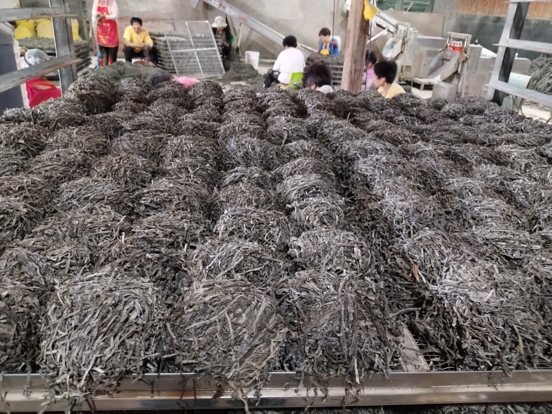 福建本地海带丝。牛肉面海带丝，量大从优。发货迅速。