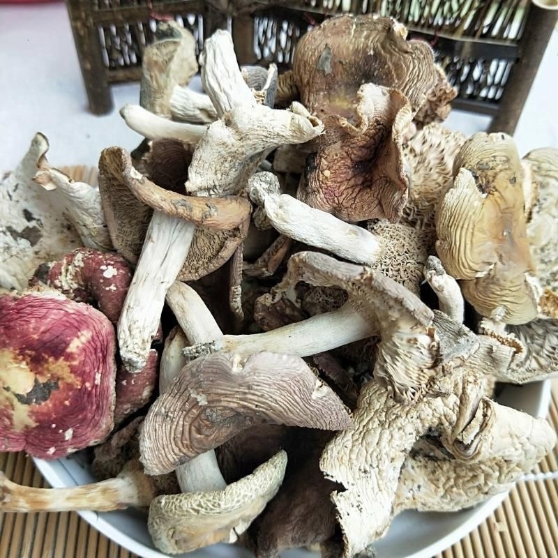 ***野生菌子蘑菇干菌汤火锅