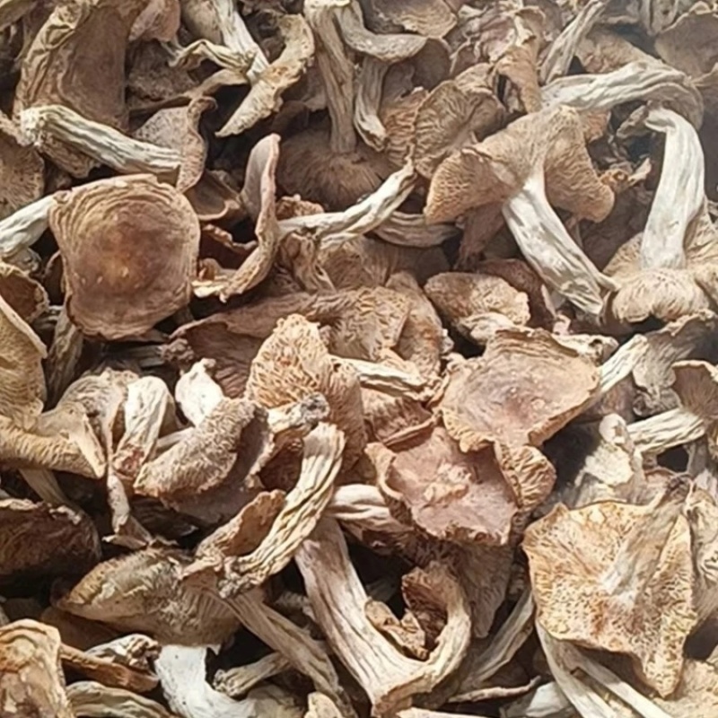 ***野生菌子蘑菇干菌汤火锅
