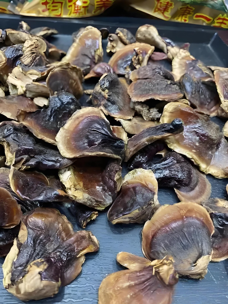 正宗小金边灵芝产地直发网红小金边电商供货泡茶泡酒煲汤