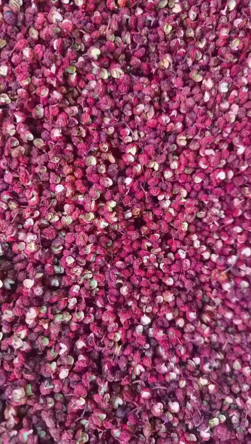 汉源花椒（红花椒）