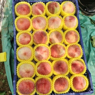 质量杠杠滴
