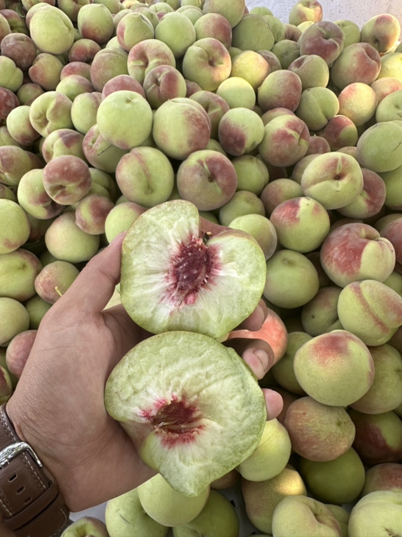 青州蜜桃一件代发离核青桃脆甜对接各平台