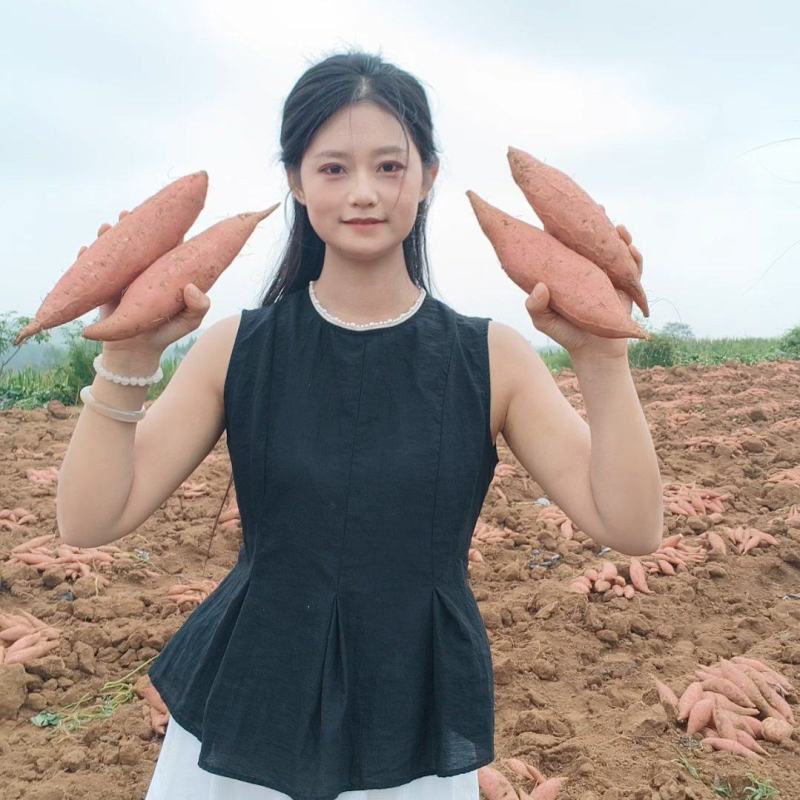 登封沙地种植，正宗烟薯，长条形