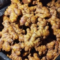 精品老姜二黄姜湖南二号小黄姜🉑水洗