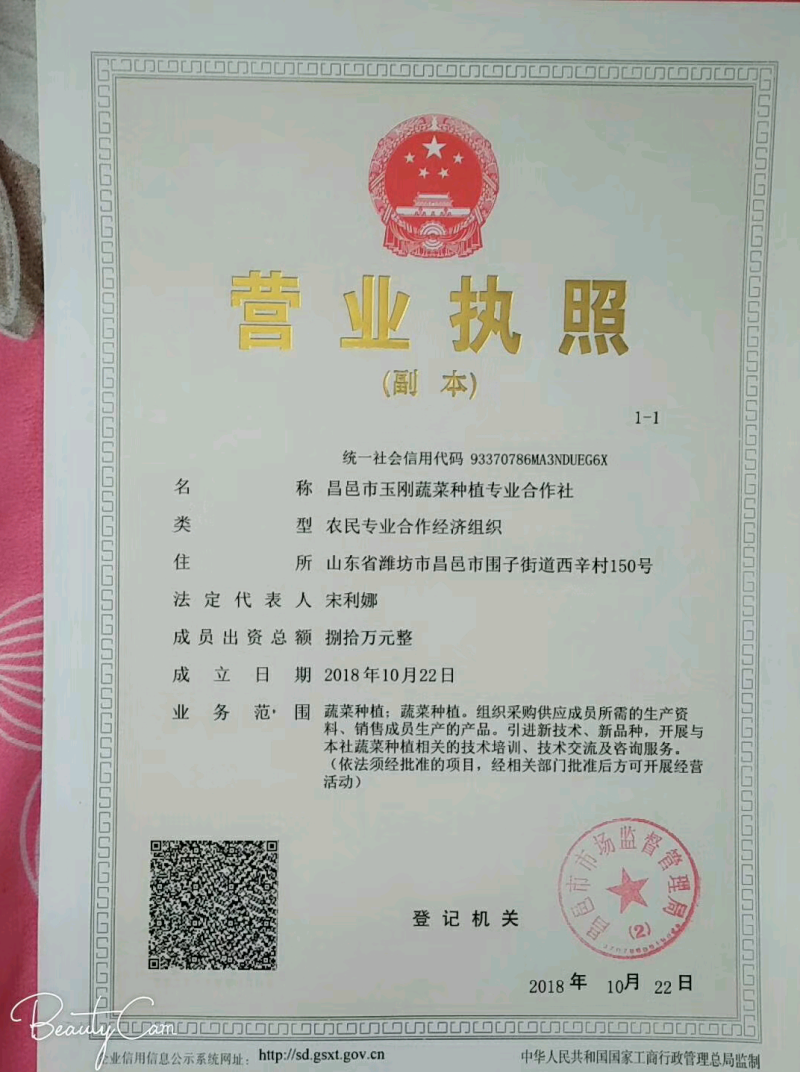 山东富硒大梨枣，种植基地，产地直供，货源充足，品质保证