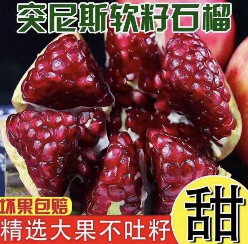 会理突尼斯软籽石榴，电商货，市场货，支持一件代发
