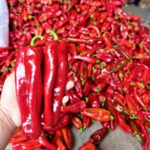 精品红泡椒，个大，条直，颜色红，硬度好，量大货足，