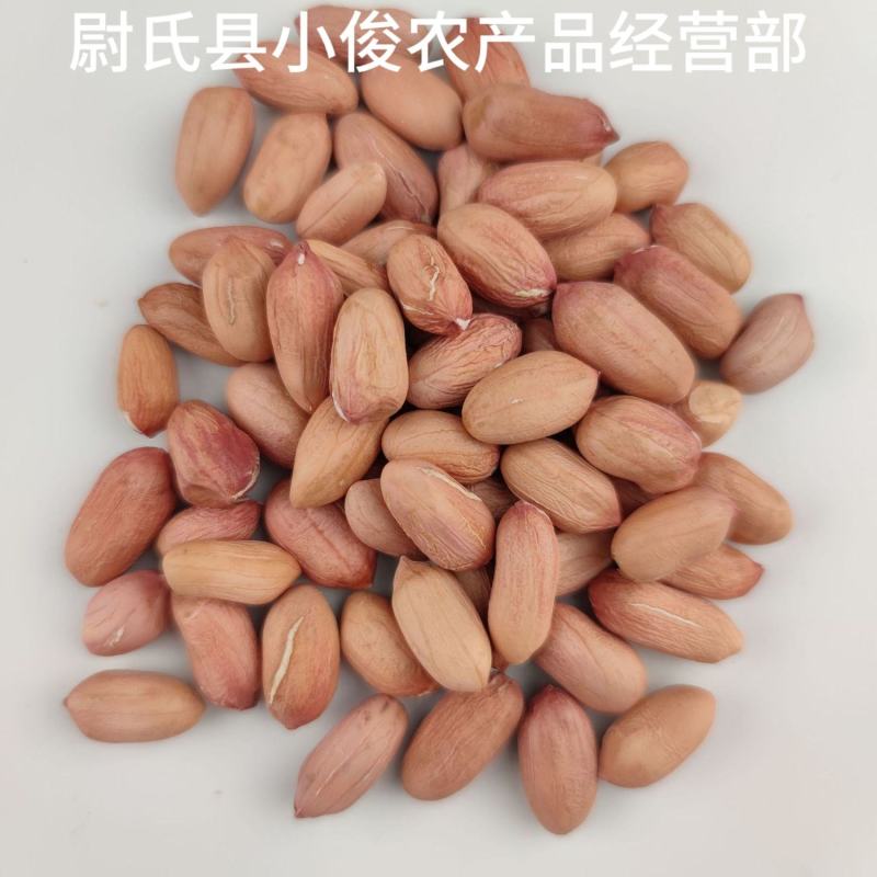 河南开封花生米种花育9616专用25发芽精品手剥米花生芽