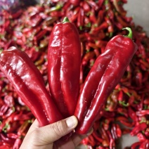 红泡椒15~20厘米中辣颜色鲜红，