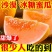 正宗甘肃民勤蜜瓜沙漠黄皮大甜瓜脆大瓜新鲜应季水果整箱特价代发