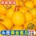 正宗甘肃民勤蜜瓜沙漠黄皮大甜瓜脆大瓜新鲜应季水果整箱特价批发