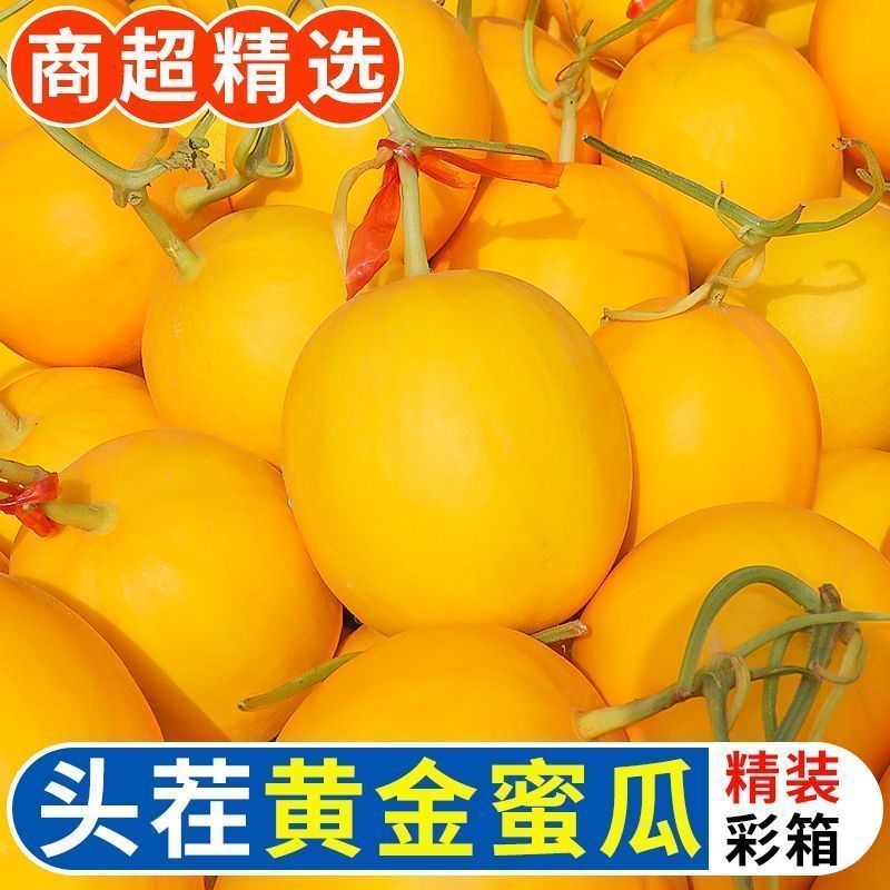 正宗甘肃民勤蜜瓜沙漠黄皮大甜瓜脆大瓜新鲜应季水果整箱特价批发