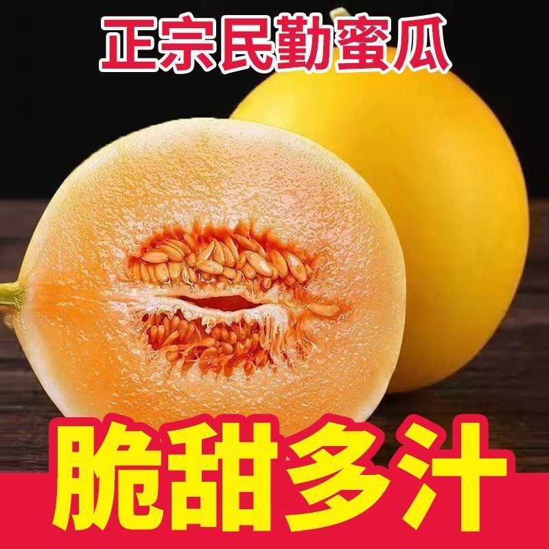 正宗甘肃民勤蜜瓜沙漠黄皮大甜瓜脆大瓜新鲜应季水果整箱特价